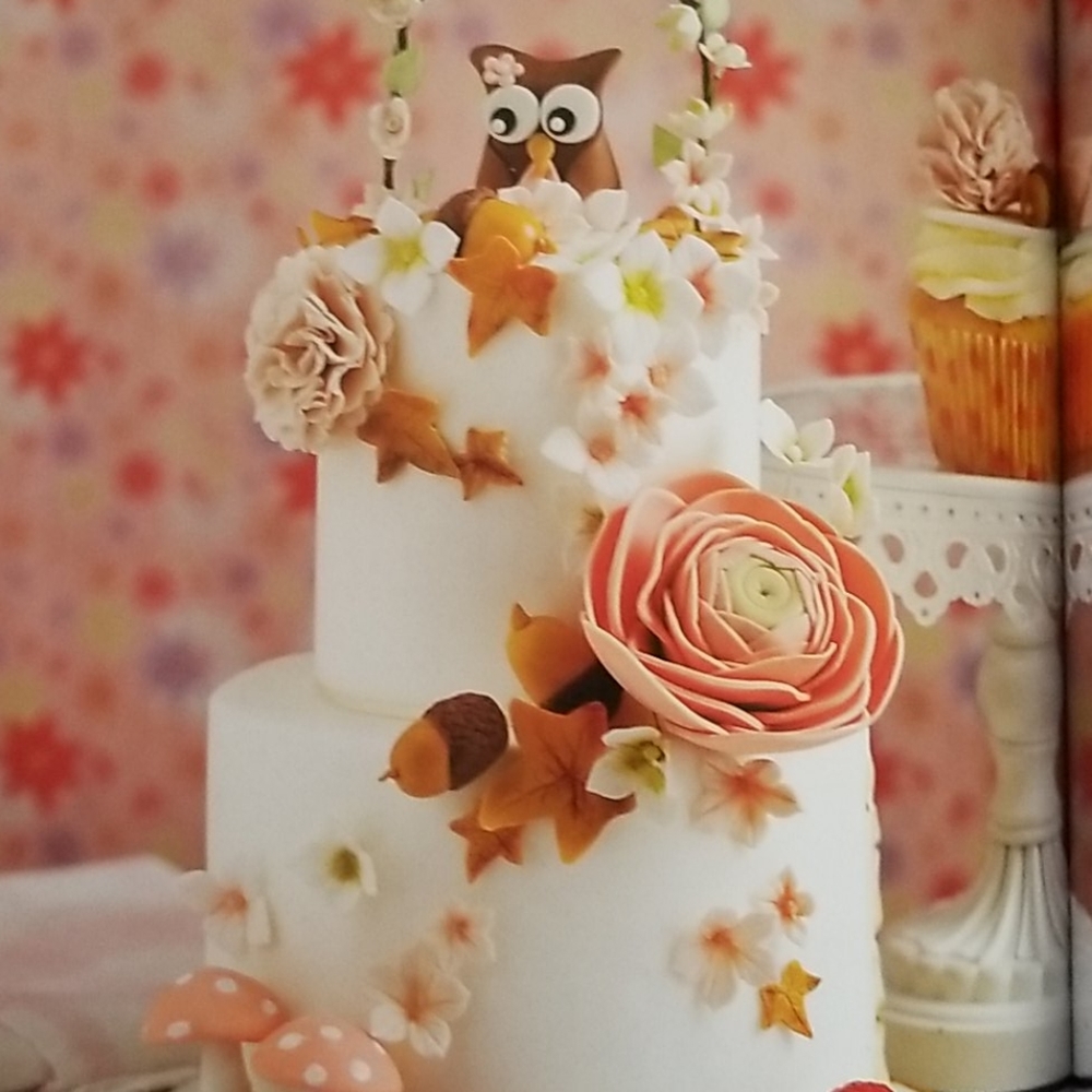 NEW Chocolate Modeling Cake Decorating Cookbook - Picture 8 of 16